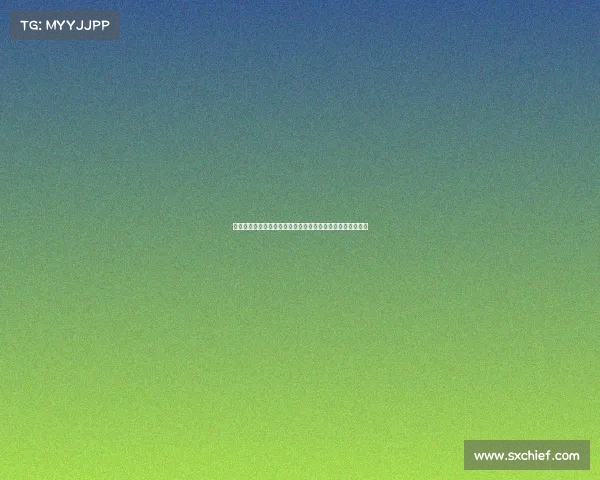 荷兰足协引入先进球员负荷管理系统提升竞技表现与健康保障